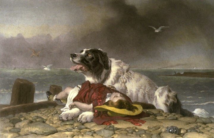 Målningen Saved av Edwin Landseer