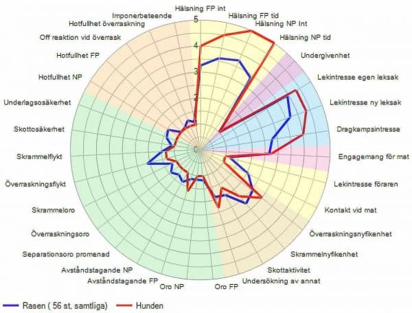 Spindeldiagram BPH